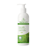 Toothpaste Care for your Gum Health 100 gm Pack of 1