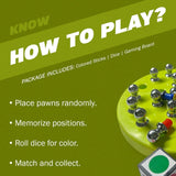 Memory Match Chess Game Set